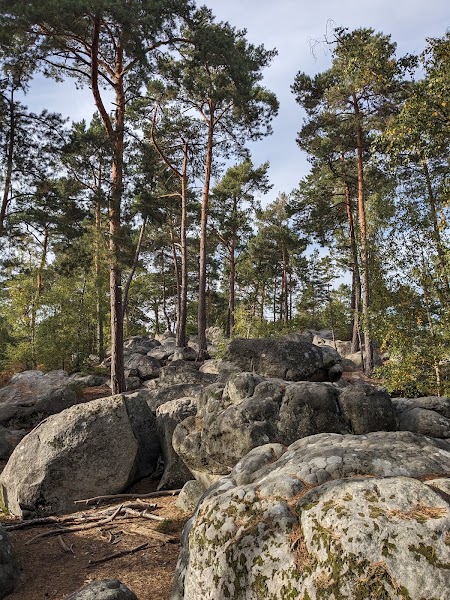 Fontainebleau: Royal Palace & Sandstone Boulders in Fontainebleau, Seine-et-Marne (45 min south of Paris)