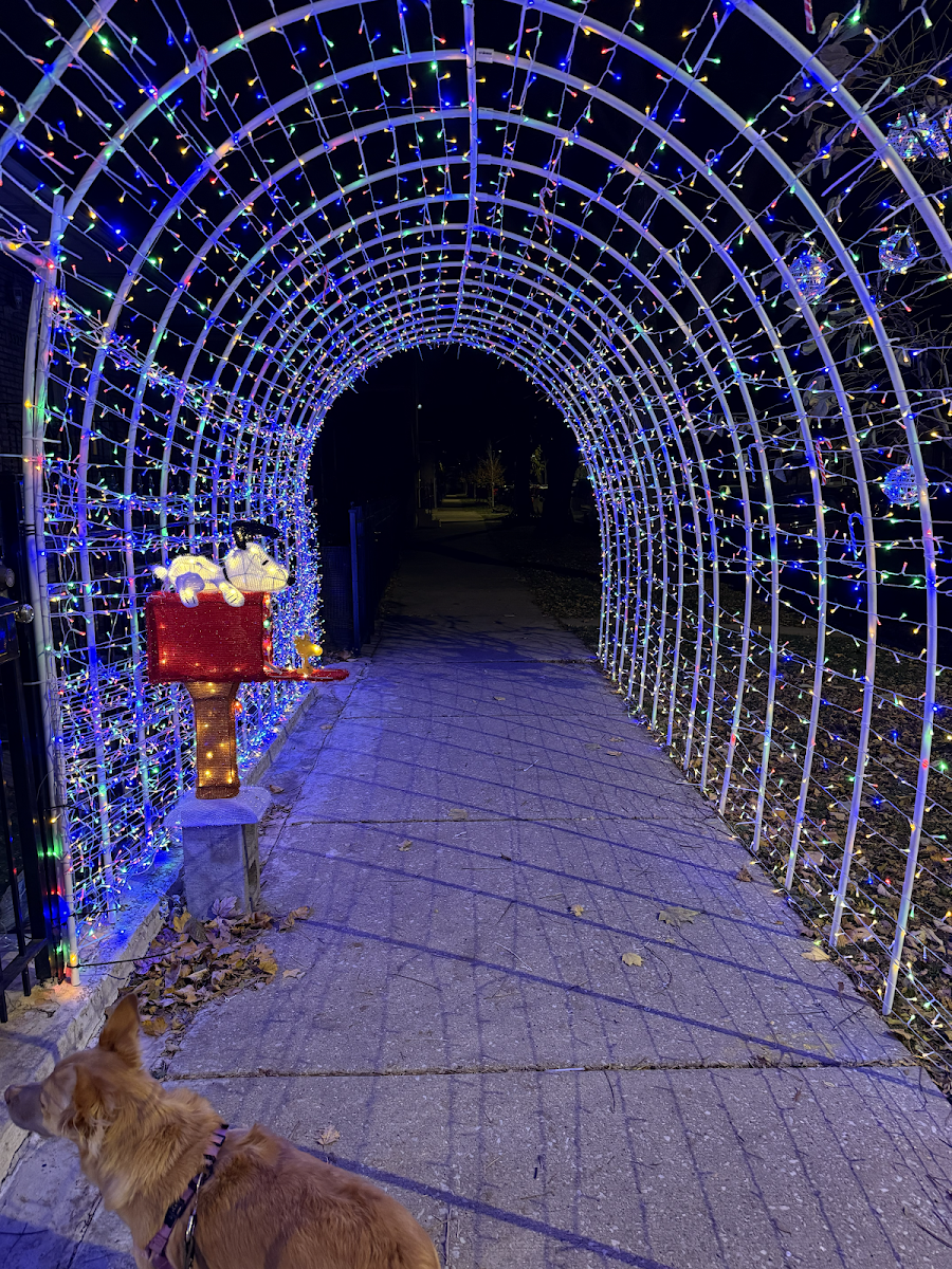 A Christmas Markets Weekend in Chicago